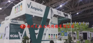 福州布展公司 專業(yè)展會布置與搭建服務