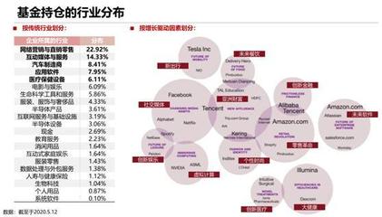 砸崩特斯拉的BG究竟什么來頭？軟件外包服務全景解析