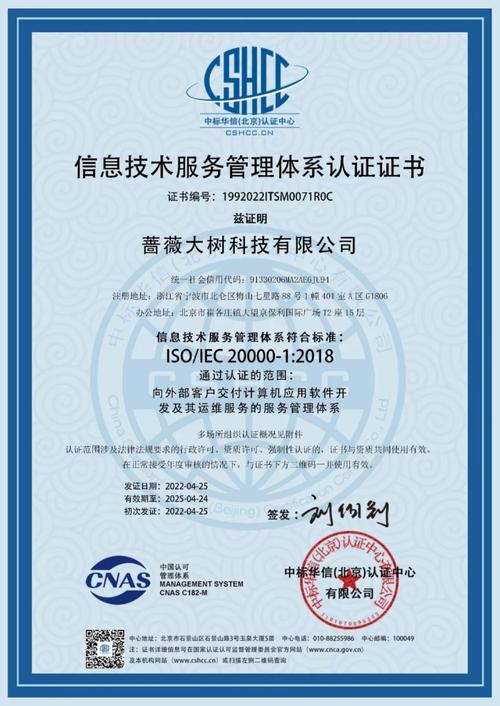 軟件開發與技術服務 驅動企業數字化轉型的雙引擎